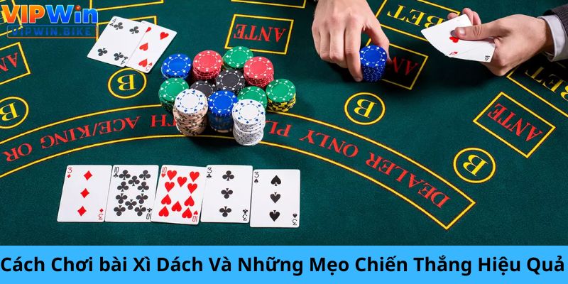 Cách Chơi bài Xì Dách Và Những Mẹo Chiến Thắng Hiệu Quả