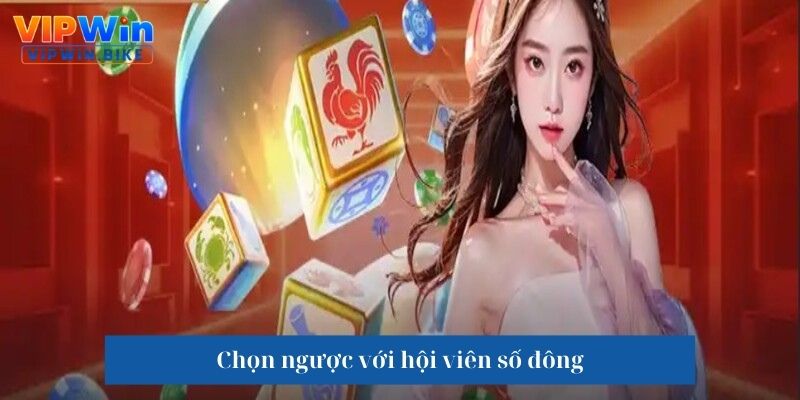 Chọn cược ngược với hội viên số đông