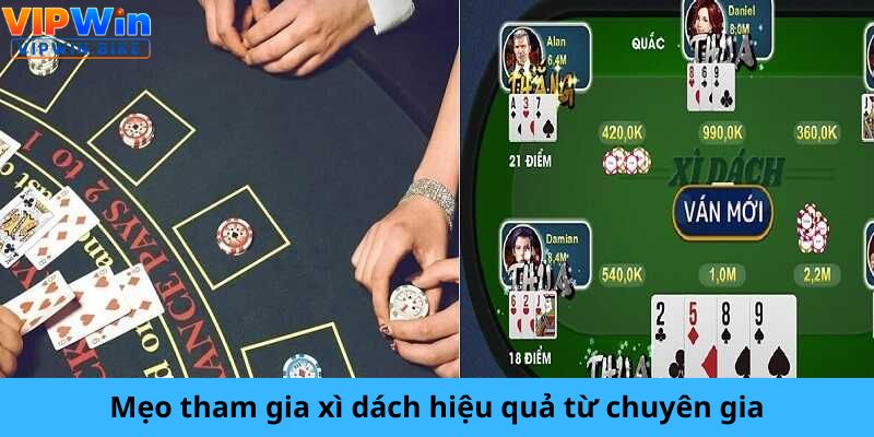 Mẹo tham gia xì dách hiệu quả từ chuyên gia